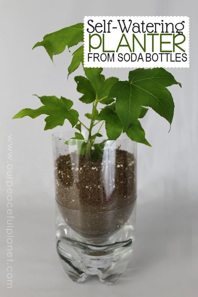 Here’s a wonderful and practical upcycle project! We’ve got three different types of planters you can make using plastic soda bottles! One is even self-watering. Ü There’s also a FREE DOWNLOAD.