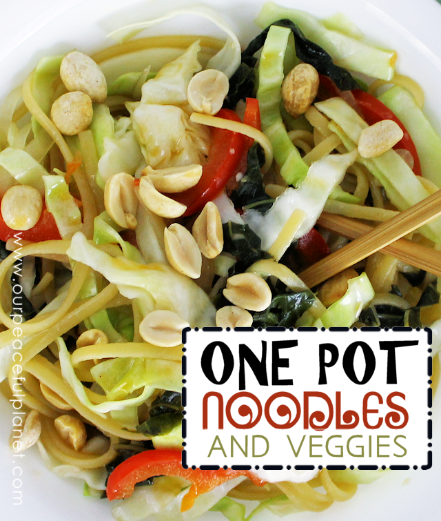 If you like QUICK HEALTHY ONE POT MEALS we got you covered on all counts! You toss everything into the pot except the cabbage and rice vinegar and cook it for 9 minutes. Then add those last two ingredients and you’re good to go! Toss a few peanuts on top for added flavor and crunch.