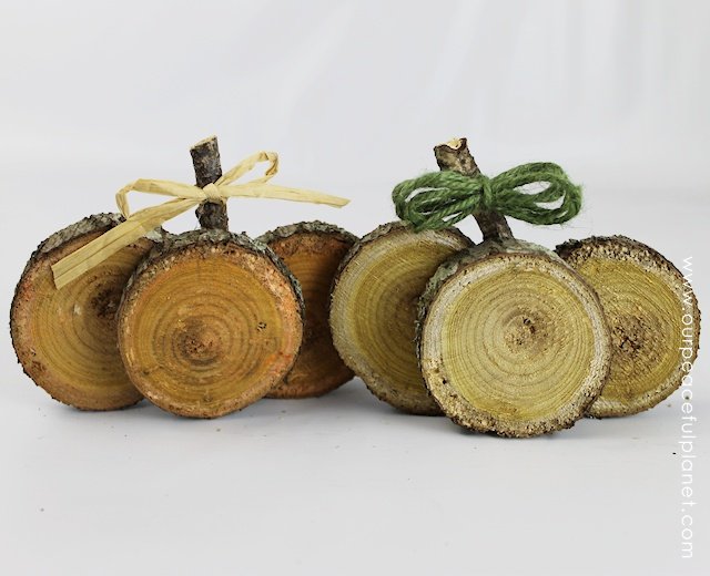 If you're looking for quick DIY Fall decorations these cute little rustic pumpkins are perfect! Make a set in minutes from wood slices. A wonderful gift!