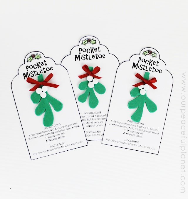 Invite kisses on the fly this year with our DIY Pocket Mistletoe! It’s a fun little idea to give as a gift too and we supply a free printable tag and instructions. You’ll never miss out on a chance to grab a kiss with this in your pocket!