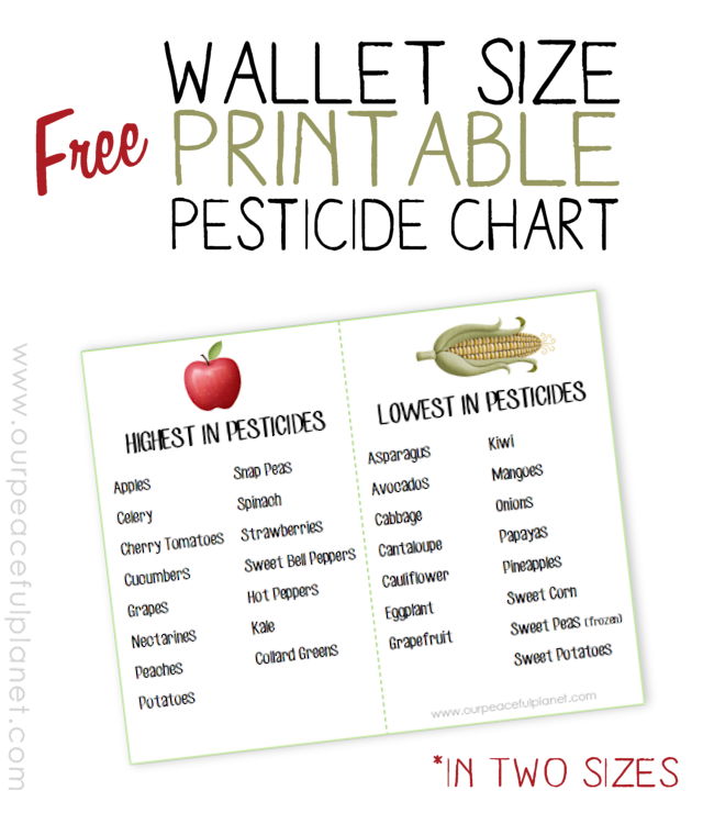 Grab our FREE PRINTABLE WALLET PESTICIDE CHART. It comes in two sizes and is a quick reference guide when you're purchasing fresh fruit and veggies. 