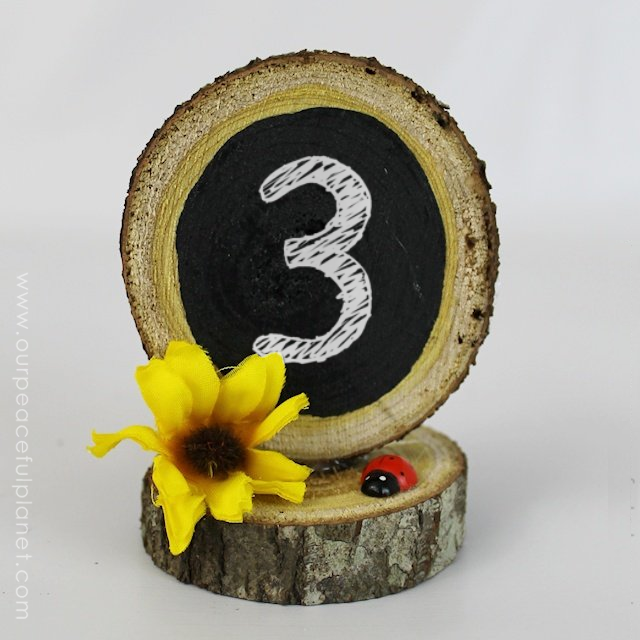 These little wood slice items prove that countdowns are NOT just for Christmas! You can use them for any occasion you’re looking forward too. It could be someone special coming to visit. Maybe it’s another type of holiday that you especially love. Or the days until school is out! You can make them in any theme you want. We’ve got three different types that we made… and yes we did include one for Christmas. 