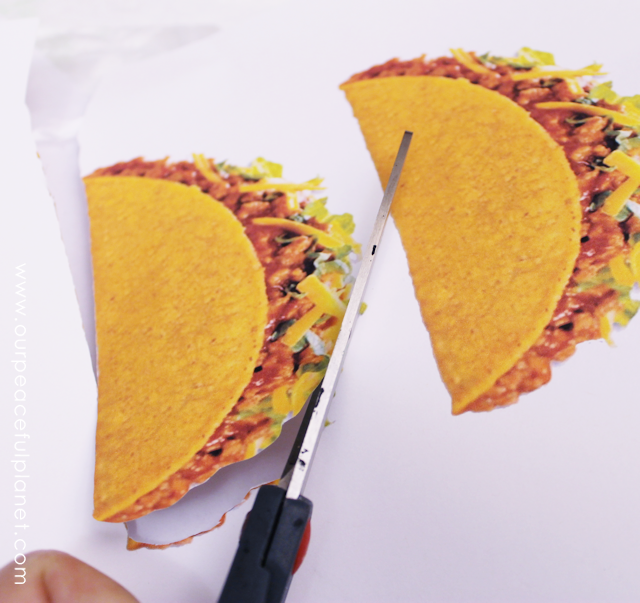 Taco and Burger Napkin Holders From CDS a0