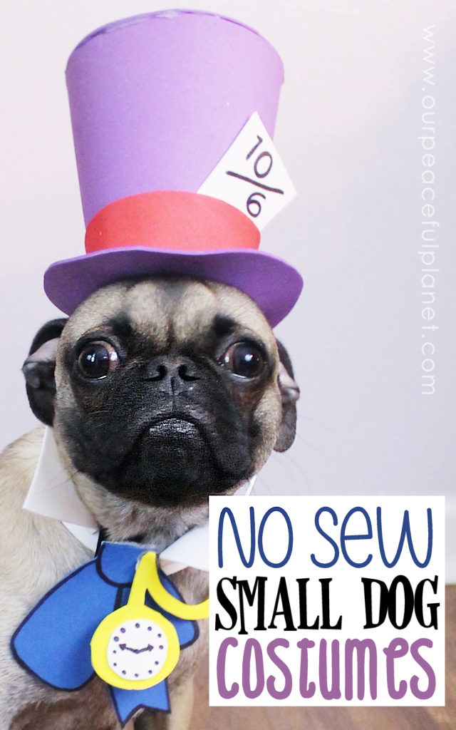 Unique small dog Halloween costume ideas made from craft foam! Free patterns! Superman dog costume, a Mad Hatter dog costume, Gandalf dog costume & more!
