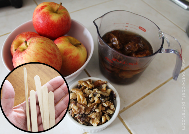Simple Healthy Candy Apple Recipe 3b