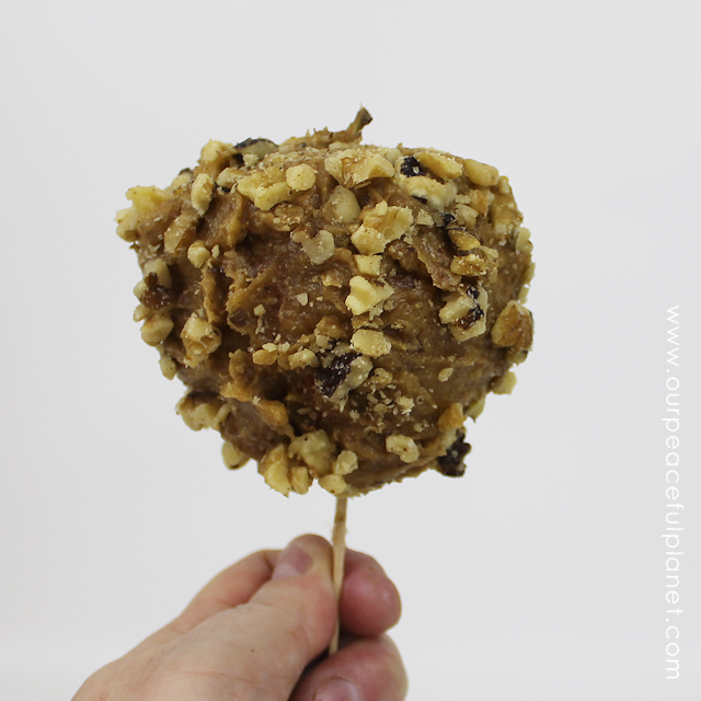 Simple Healthy Candy Apple Recipe SQ.