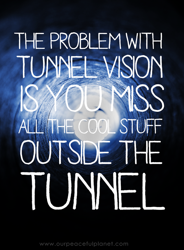 The thing about life is it's best viewed at a distance. Why? Because if you have tunnel vision you miss all the cool stuff outside the tunnel!