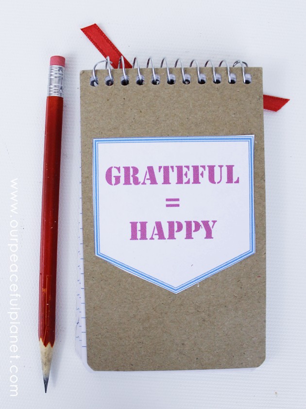For a fun unique gratitude activity for any age, grab a tiny spiral memo pad, our free printouts and make a Gratitude on the Go book. Instructions included!
