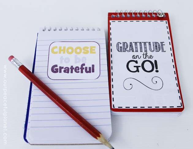 For a fun unique gratitude activity for any age, grab a tiny spiral memo pad, our free printouts and make a Gratitude on the Go book. Instructions included!
