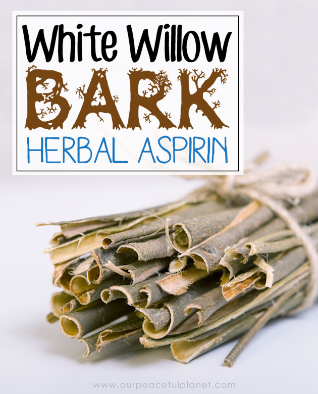 An effective and safe aspirin replacer, white willow bark can be used to treat a variety of pain and inflammation problems without harmful side effects.