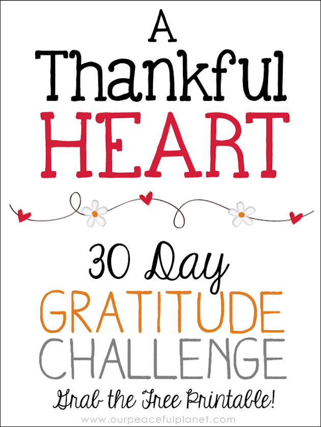 Here's a simple 30 Day Gratitude Challenge that just might be the thing you need to move into a happier healthier life! Download the free calendar to start!