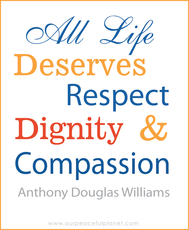 All Life Deserves Respect Dignity and Compassion