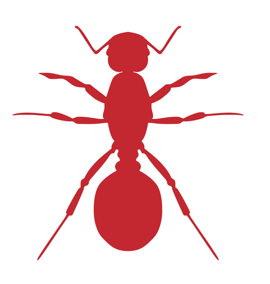 No-Kill Natural Pest Control ant