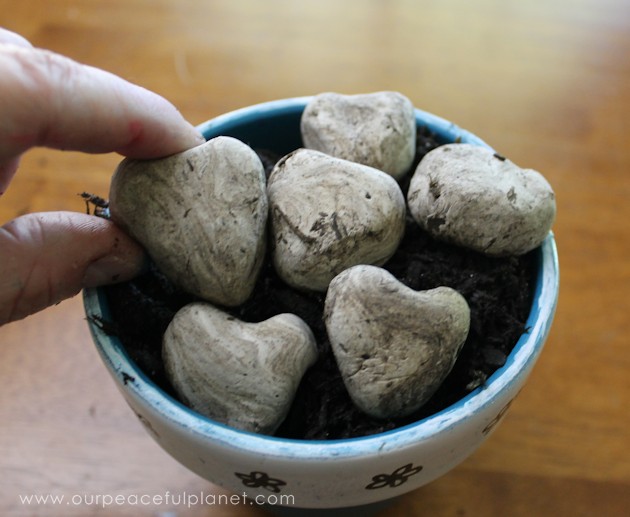 What better way to celebrate Earth Day than tossing around some of these heart shaped wildflower seed bombs. Easy and inexpensive. Show the earth some love! 