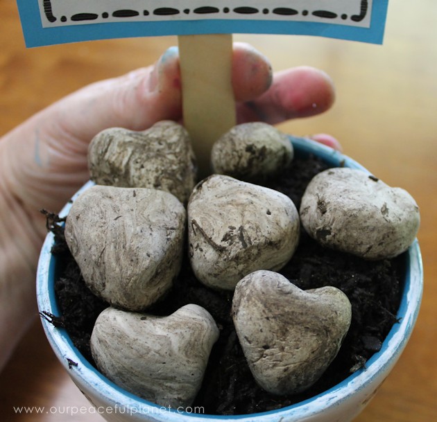 What better way to celebrate Earth Day than tossing around some of these heart shaped wildflower seed bombs. Easy and inexpensive. Show the earth some love! 