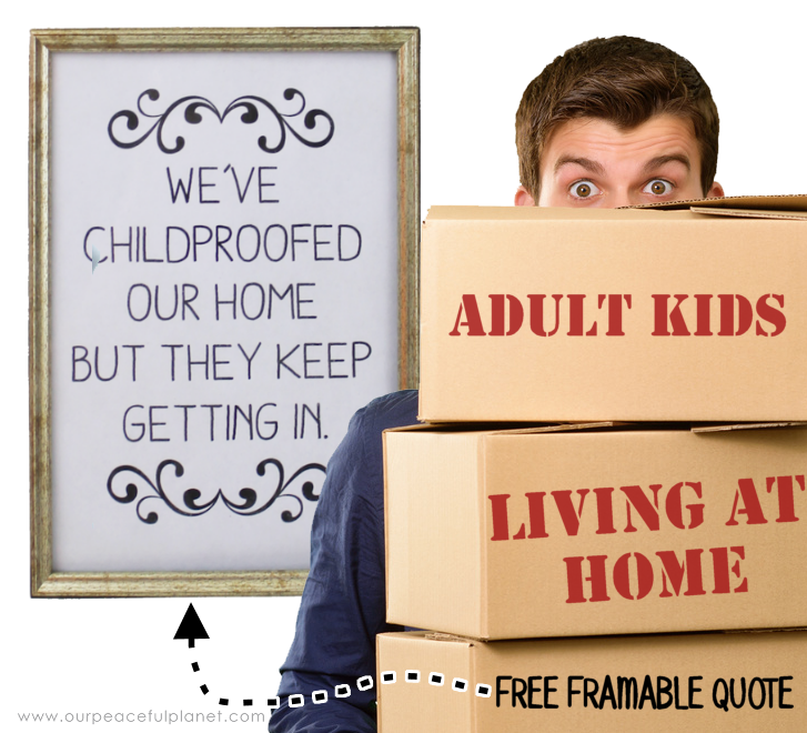 The quote "We've child-proofed our home but they keep getting in" hangs in our home. We've got some good tips for those of you who also have boomerang kids.