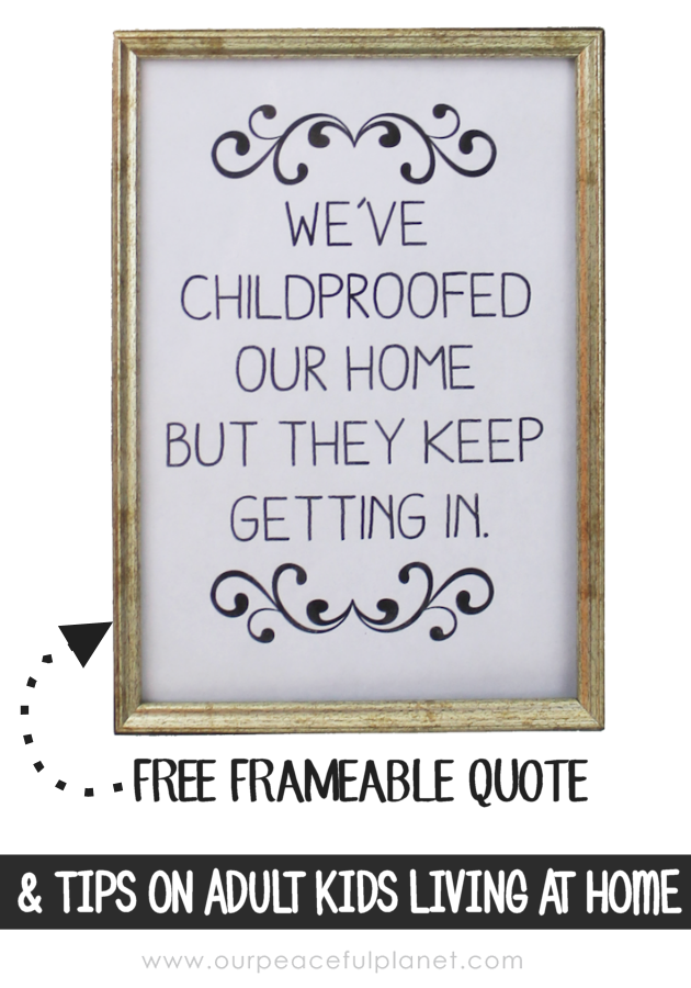 The quote "We've child-proofed our home but they keep getting in" hangs in our home. We've got some good tips for those of you who also have boomerang kids.