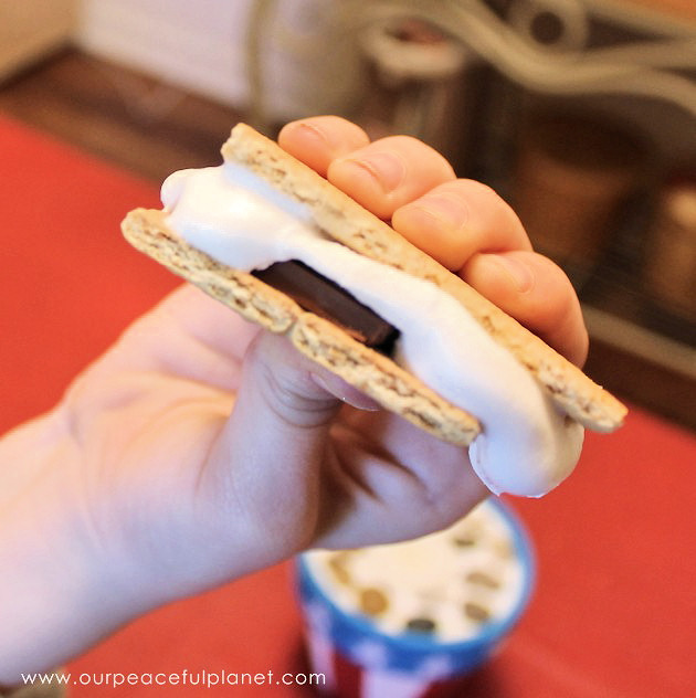 This little DIY smores kit comes complete with a mini campfire! It's great for summer and can even be used inside the house. I
t also makes a great gift.
