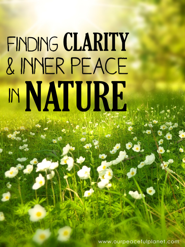 If you struggle to find clarity and inner peace, the answers can be as close as the nearest park, trail or field. Learn how to find peace in nature. 