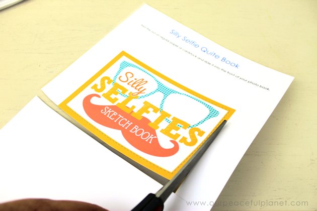 Make a Silly Selfie quiet book in 15 minutes using our FREE DOWNLOAD! An amazingly simple project guaranteed to provide hours of fun for kids of all ages!