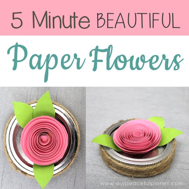 Make these beautiful DIY paper flowers in 5 minutes or less! Use them in your crafts or decorating. Attach them to a lamp shade. Even use them in your hair!