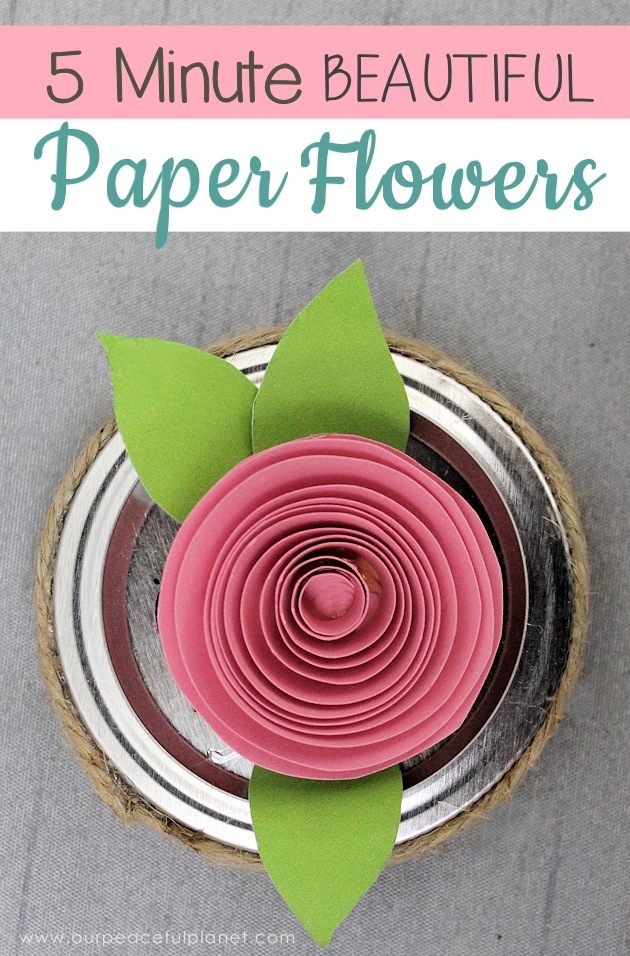 Make these beautiful DIY paper flowers in 5 minutes or less! Use them in your crafts or decorating. Attach them to a lamp shade! Even use them in your hair! 