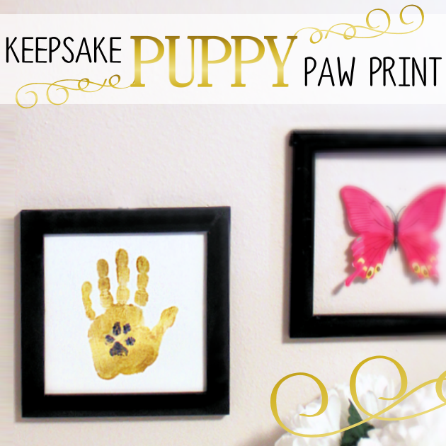 DIY Keepsake Puppy Paw Print SQ