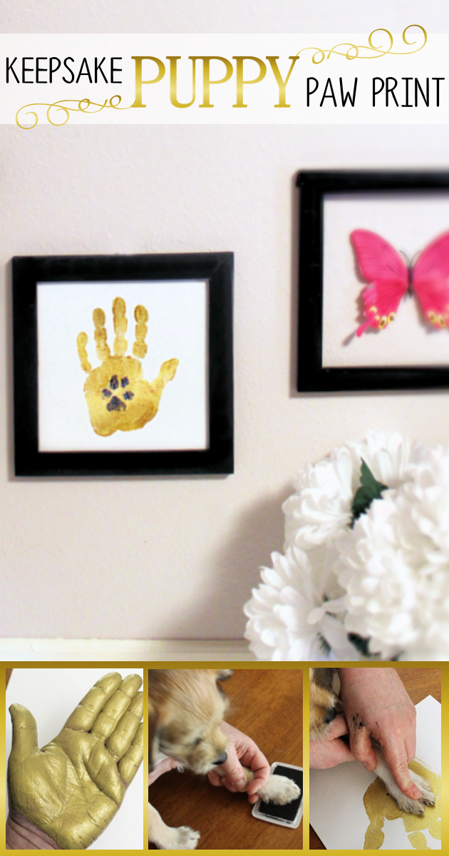 Make this framed keepsake dog or puppy paw print to have forever and memorialize your furry friends. It's both classy and meaningful!