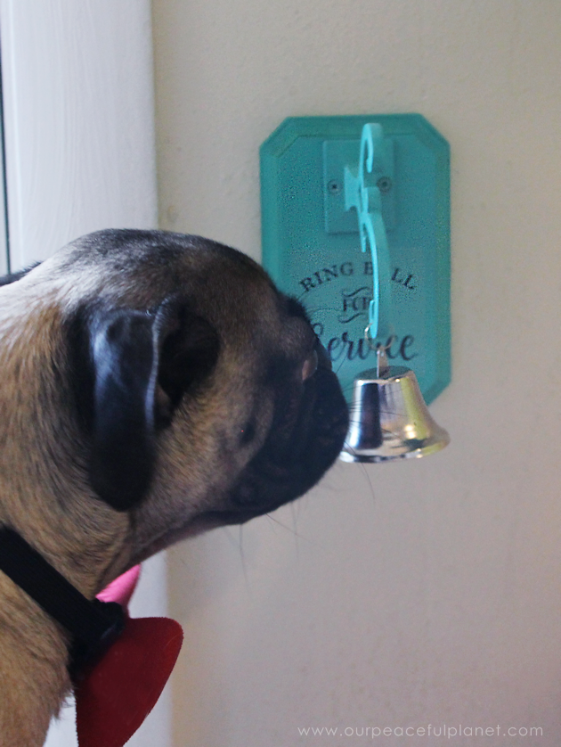 How to Potty Train a Dog to Use a Bell & How to Make One!