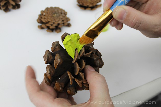  With this ultimate pinecone craft you can make a bowl of stunning succulents in a matter of minutes to add to your home decor. And they never need watered!