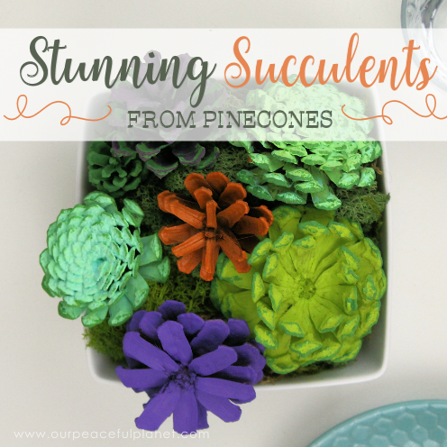 With this ultimate pinecone craft you can make a bowl of stunning succulents in a matter of minutes to add to your home decor. And they never need watered!
