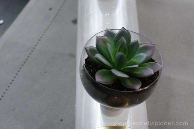 These metro modern self watering planters will catch everyone's eye. They're low maintenance plant care disguised in classy uniquely upcycled soda bottles.
