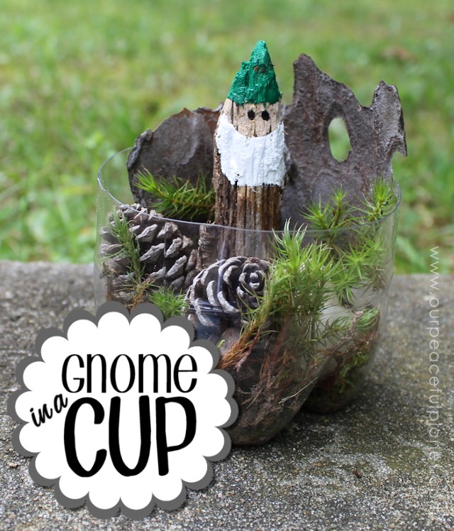 Gnome in a Cup