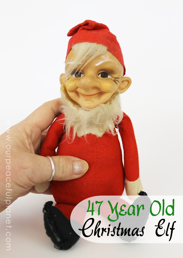 47 Year Old Christmas Elf
