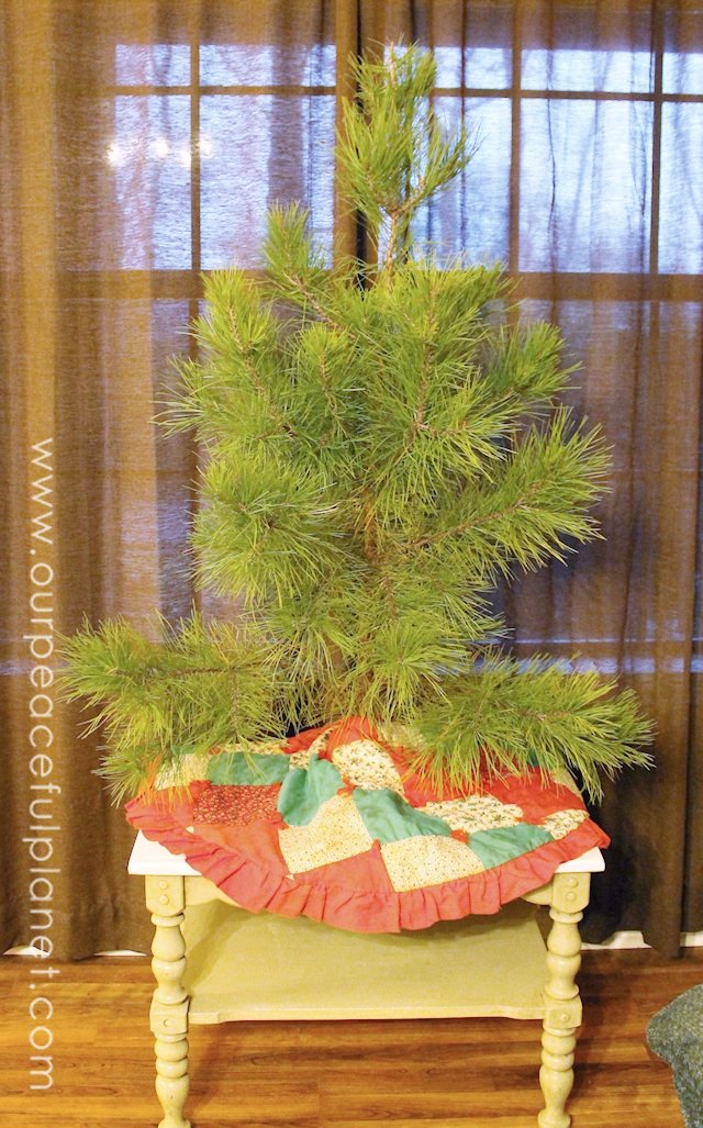 small.tree.and.stand-3