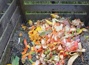 Composting Pulp