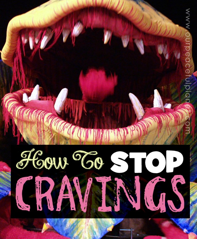 How To Stop Cravings