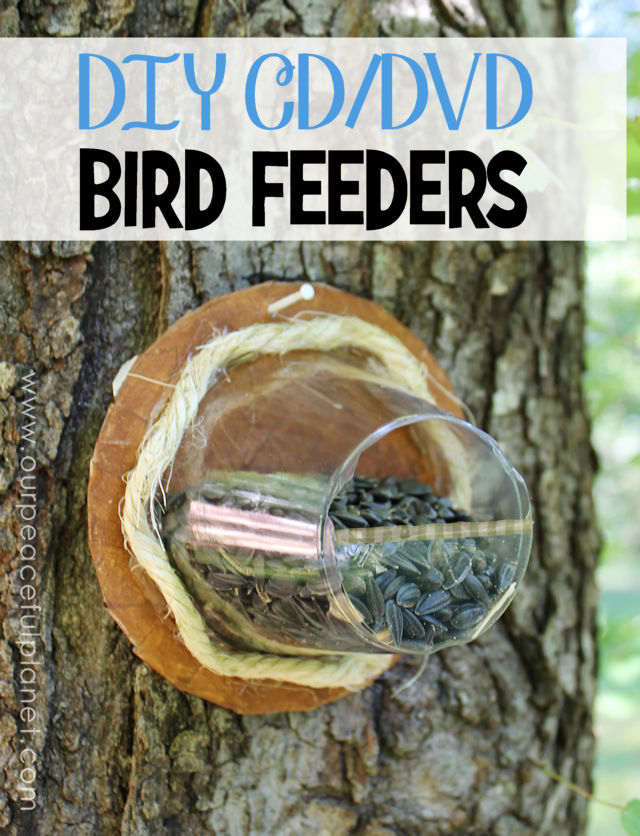 DIY Bird Feeder from CD and Plastic Cup